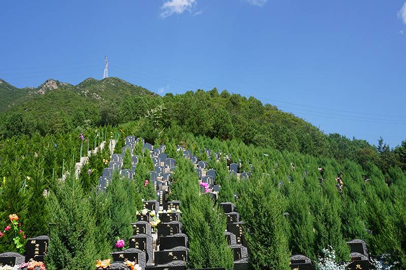 通惠陵园扫墓预约怎么做（通惠陵园怎样选择墓地）